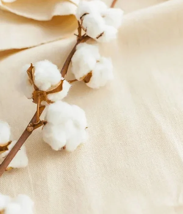 Organic Cotton